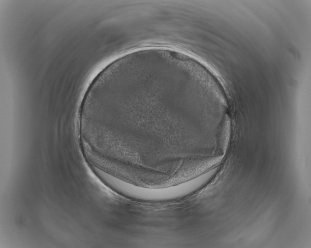 X0000111191527200907221058