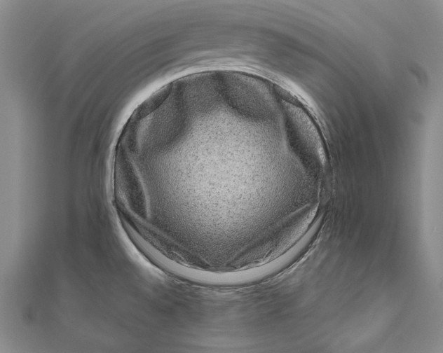 X0000111191528200907221058