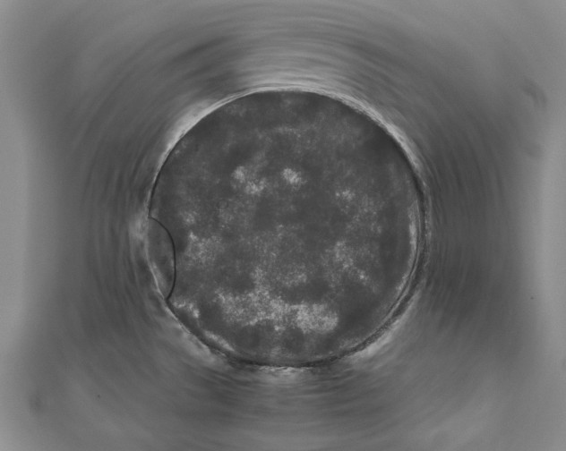 X0000111191529200907221058