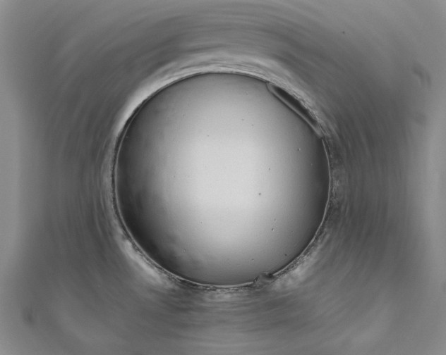 X0000111191530200907221059