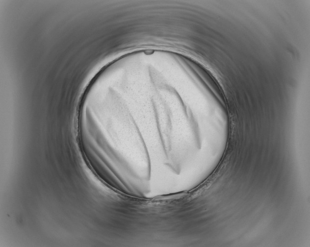 X0000111191531200907221059