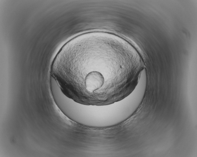 X0000111191532200907221059