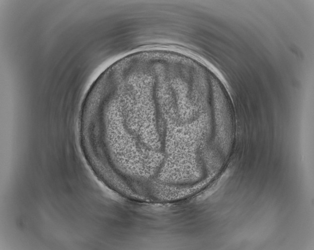 X0000111191533200907221059