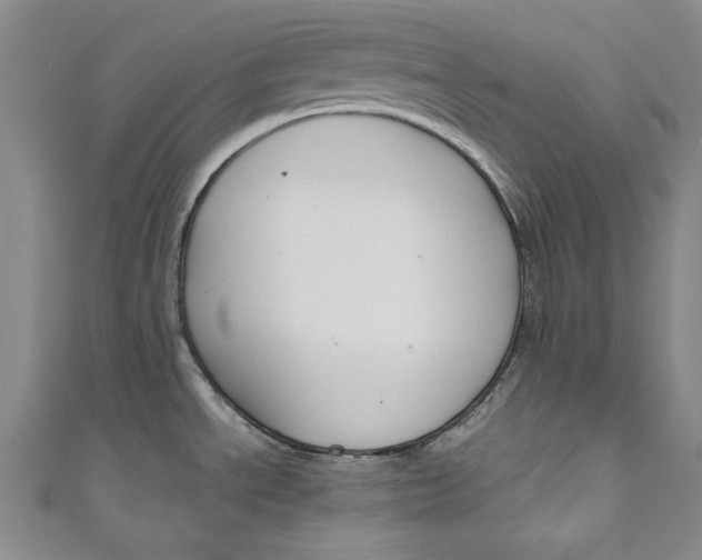 X0000111191534200907221059