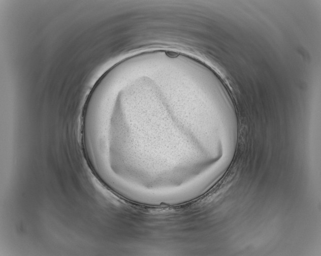 X0000111191535200907221059