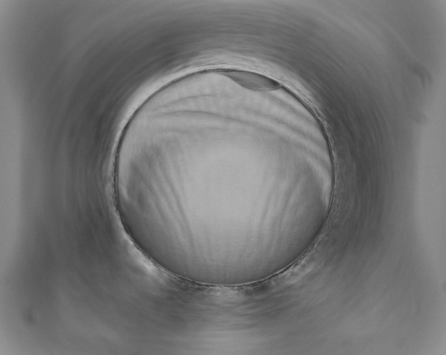 X0000111191536200907221059