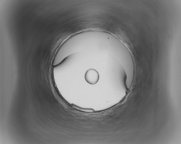 X0000111190001200907291213