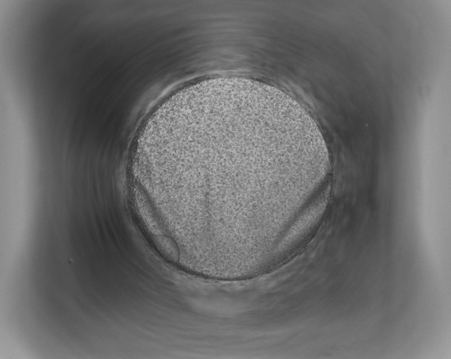 X0000111190002200907291213