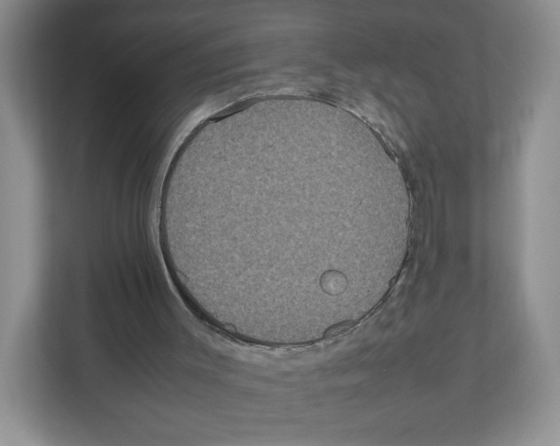 X0000111190003200907291213