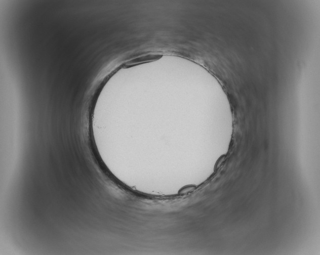 X0000111190005200907291213