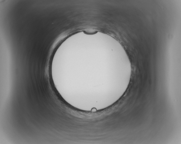 X0000111190006200907291213