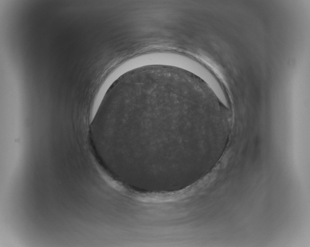 X0000111190009200907291213