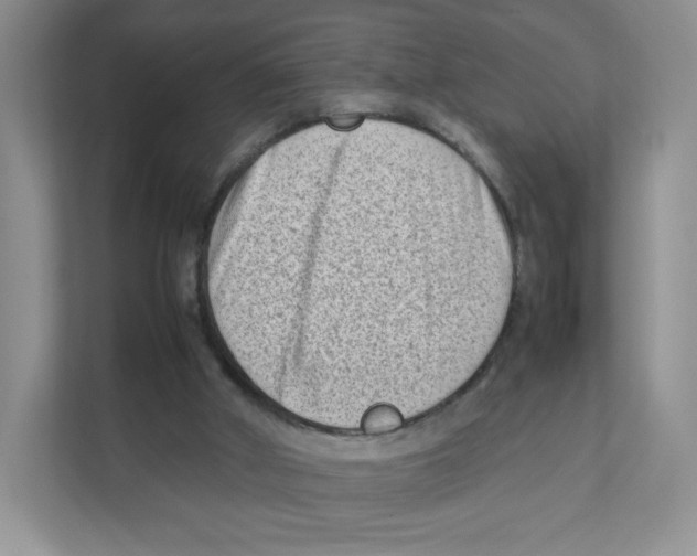X0000111190010200907291213