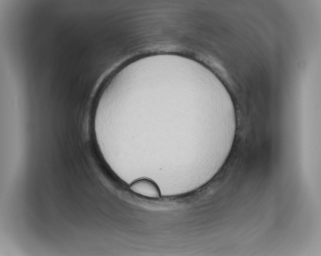 X0000111190012200907291213