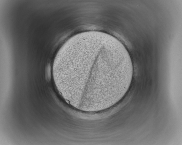 X0000111190014200907291213