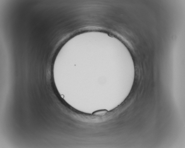 X0000111190015200907291213