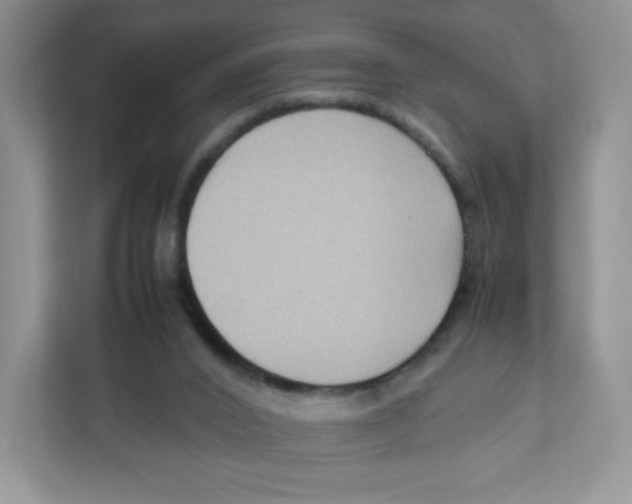 X0000111190016200907291213
