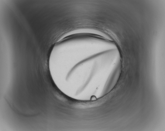 X0000111190017200907291213