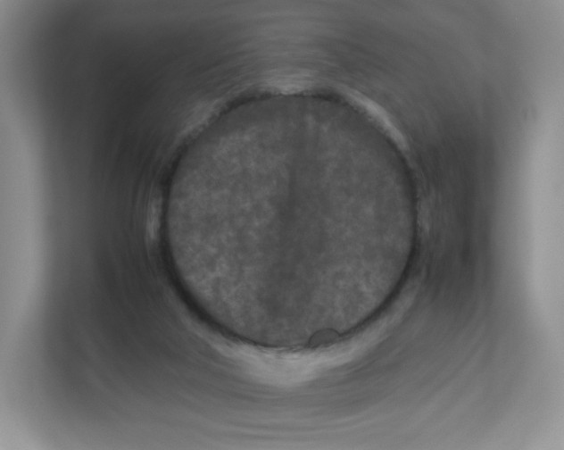 X0000111190018200907291213