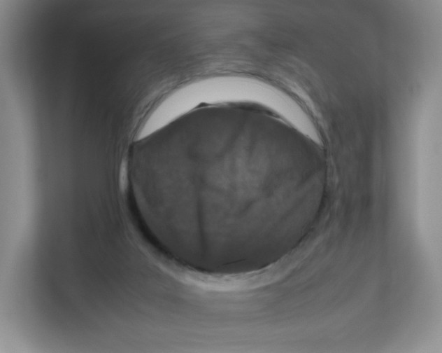 X0000111190019200907291213