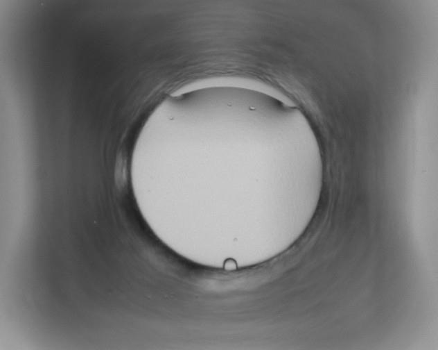X0000111190021200907291213