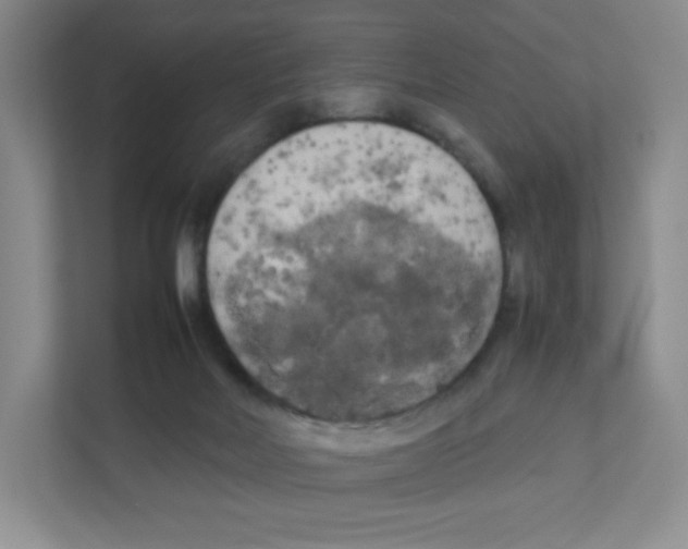 X0000111190026200907291213