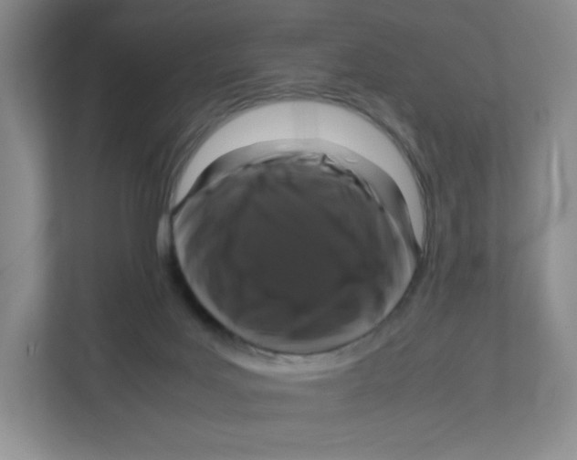 X0000111190027200907291213