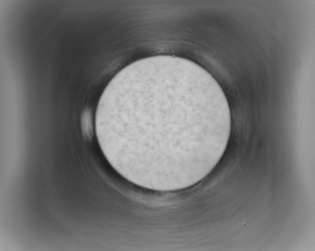 X0000111190028200907291213