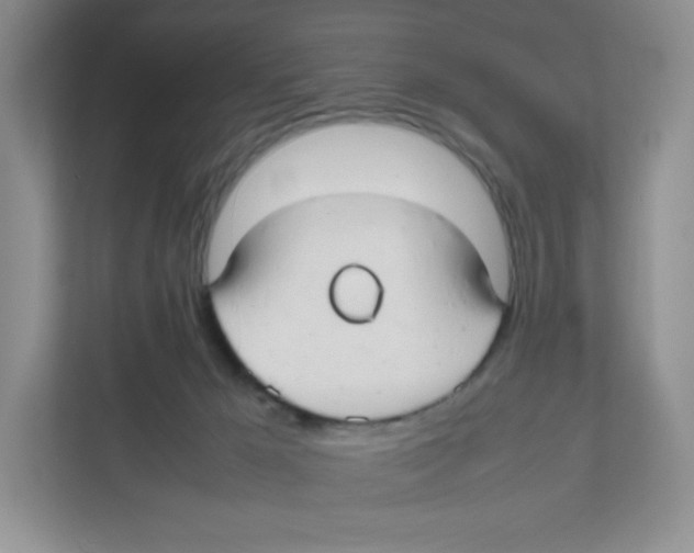 X0000111190029200907291213