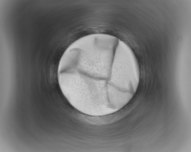 X0000111190030200907291213