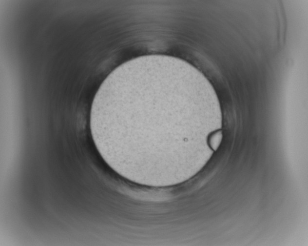X0000111190032200907291213