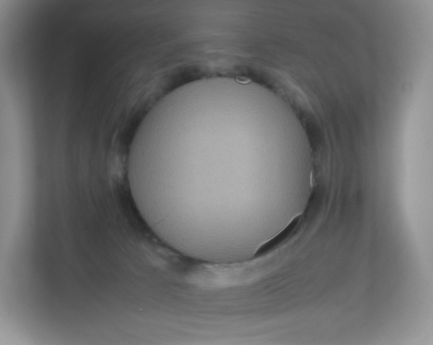 X0000111190033200907291213
