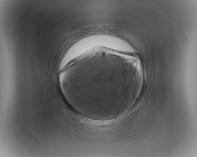 X0000111190035200907291213