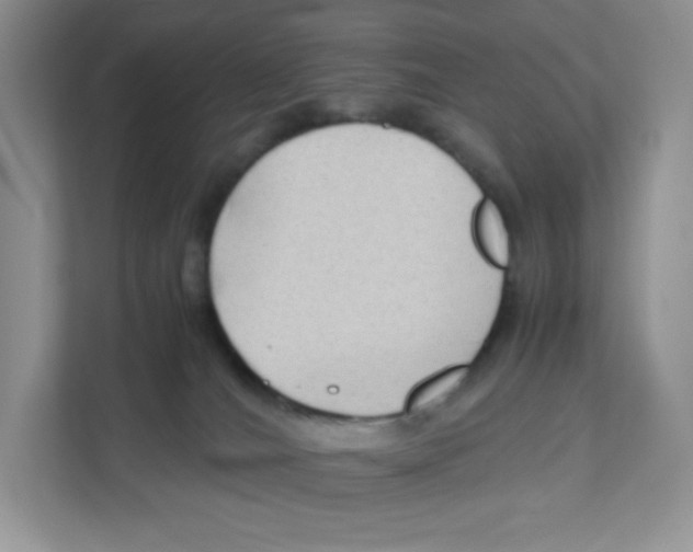 X0000111190036200907291213