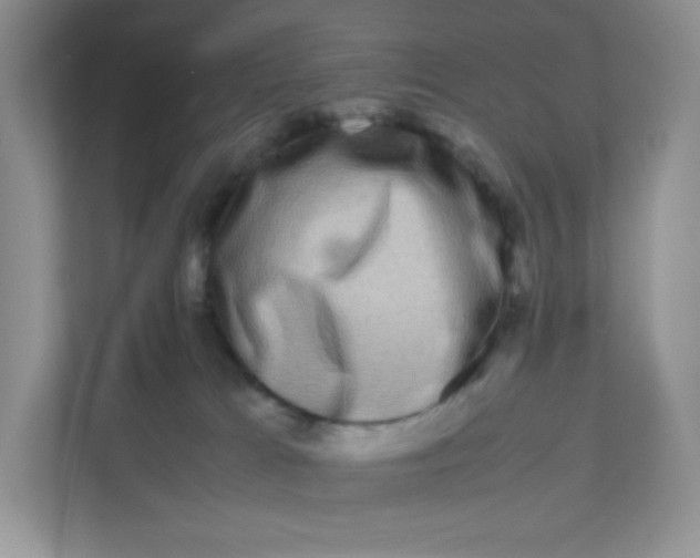 X0000111190037200907291213