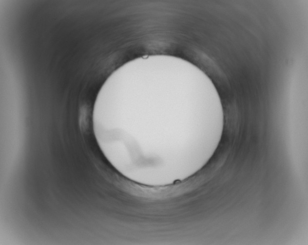 X0000111190038200907291213