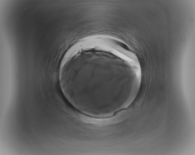 X0000111190039200907291213