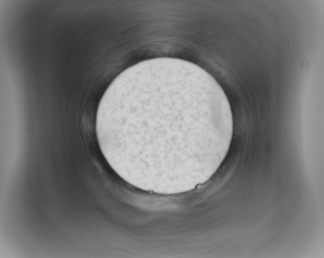 X0000111190040200907291213