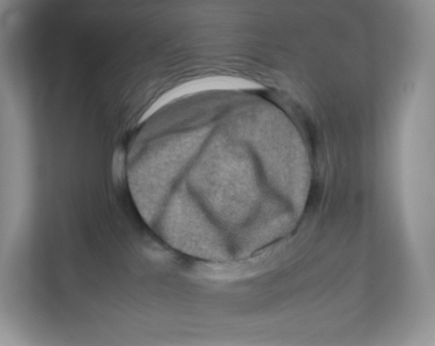 X0000111190041200907291213