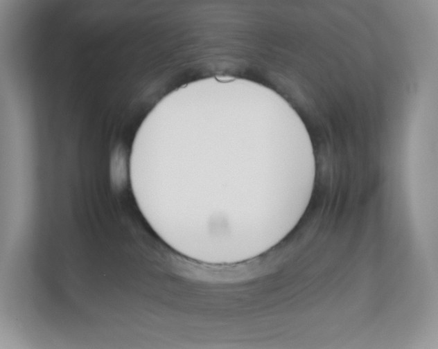X0000111190042200907291213