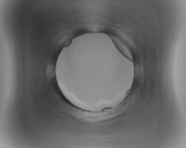 X0000111190043200907291213