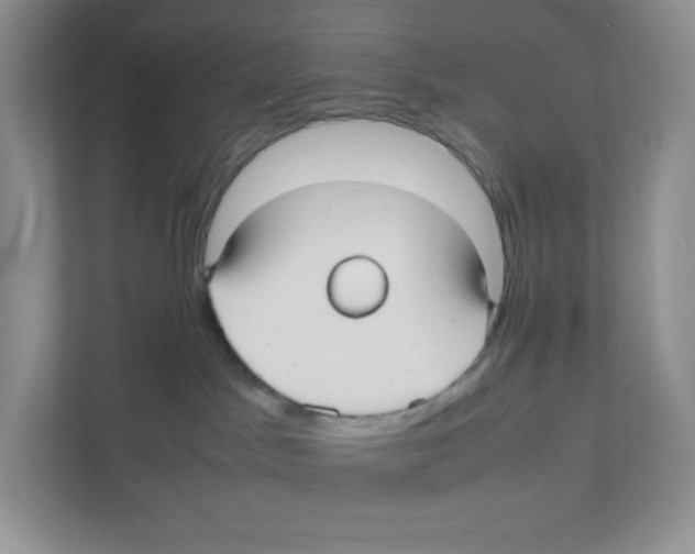 X0000111190045200907291213