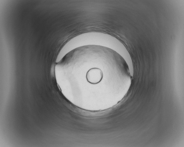 X0000111190047200907291212