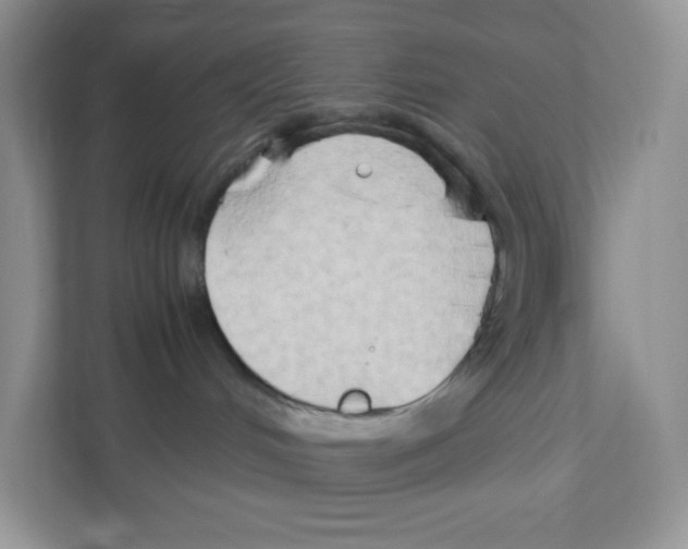 X0000111190048200907291212