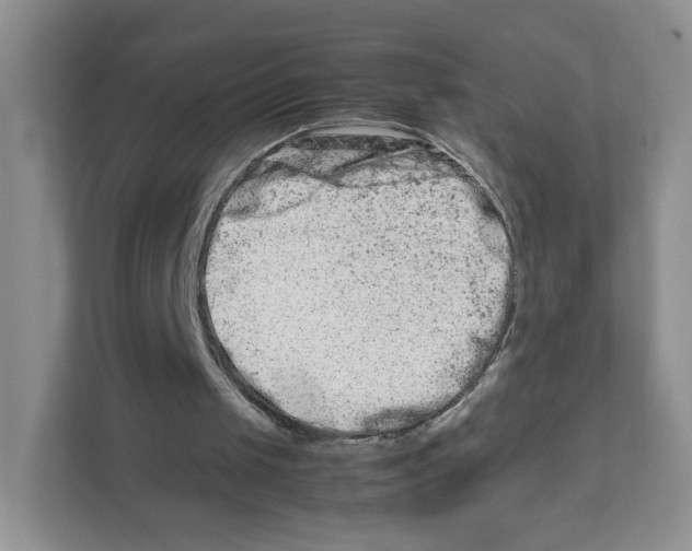 X0000111190049200907291212