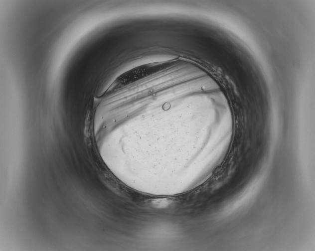 X0000111190050200907291212