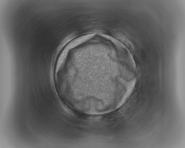 X0000111190051200907291212