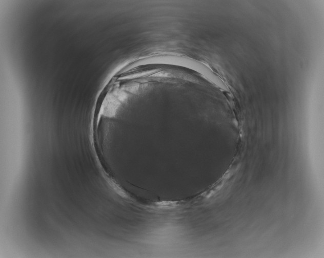 X0000111190052200907291212