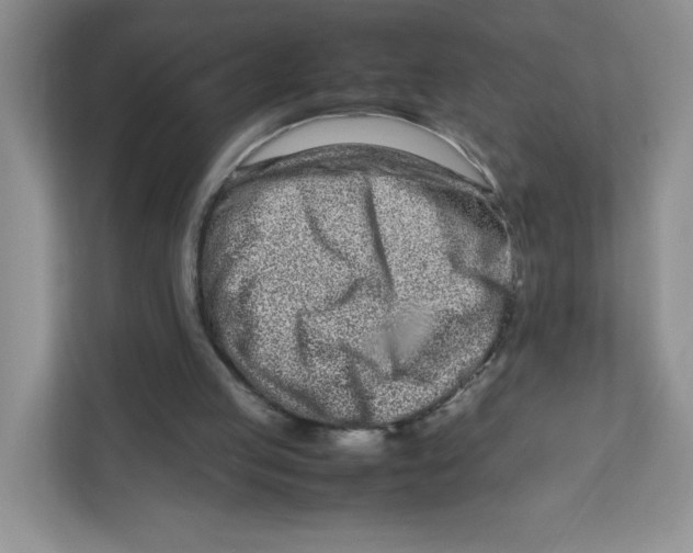 X0000111190053200907291212