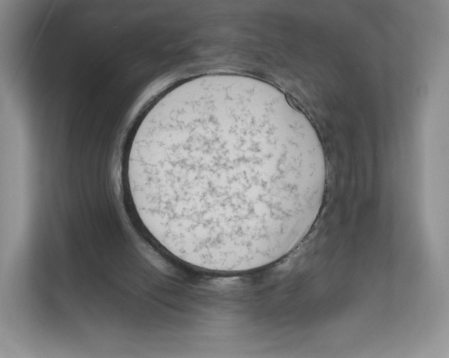 X0000111190054200907291212